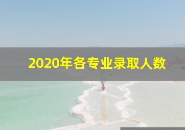 2020年各专业录取人数