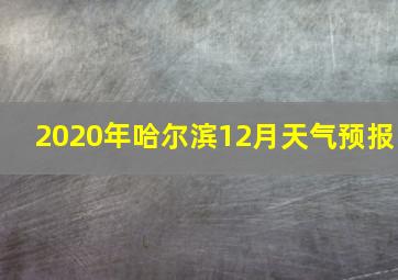 2020年哈尔滨12月天气预报