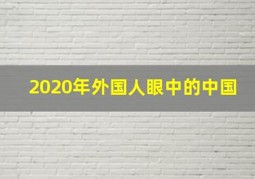 2020年外国人眼中的中国