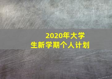 2020年大学生新学期个人计划