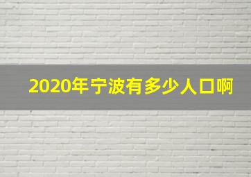 2020年宁波有多少人口啊