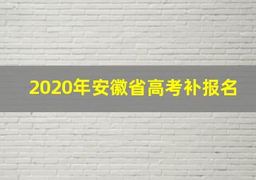 2020年安徽省高考补报名