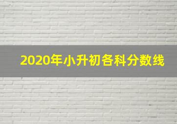 2020年小升初各科分数线