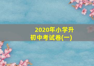 2020年小学升初中考试卷(一)