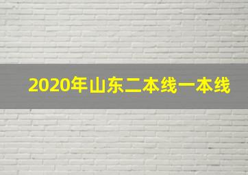 2020年山东二本线一本线