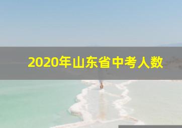 2020年山东省中考人数