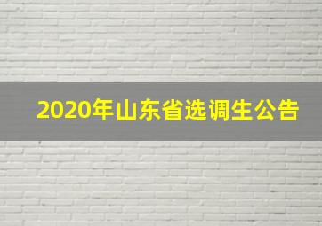 2020年山东省选调生公告