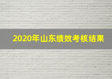 2020年山东绩效考核结果