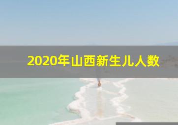 2020年山西新生儿人数