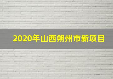 2020年山西朔州市新项目