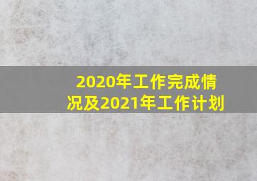 2020年工作完成情况及2021年工作计划