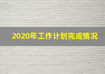 2020年工作计划完成情况