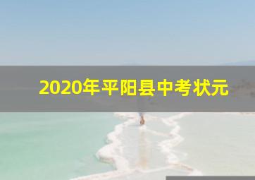 2020年平阳县中考状元