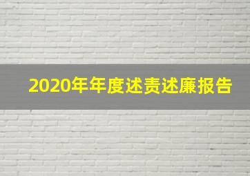 2020年年度述责述廉报告