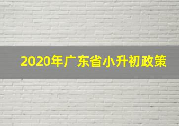 2020年广东省小升初政策