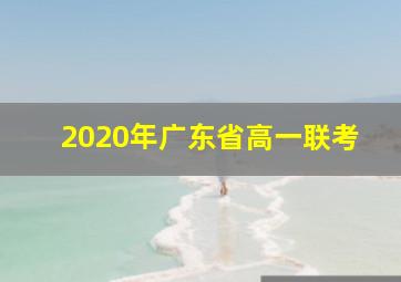 2020年广东省高一联考