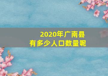 2020年广南县有多少人口数量呢