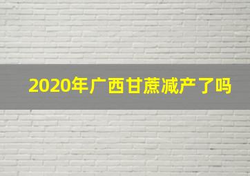 2020年广西甘蔗减产了吗