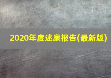 2020年度述廉报告(最新版)