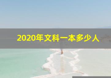 2020年文科一本多少人