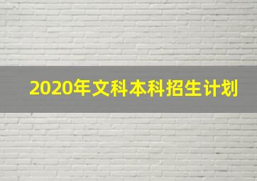 2020年文科本科招生计划