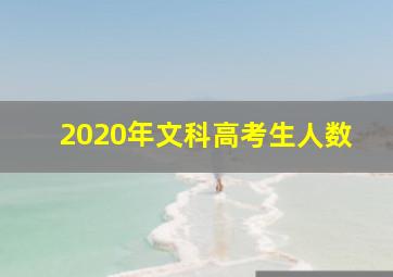 2020年文科高考生人数