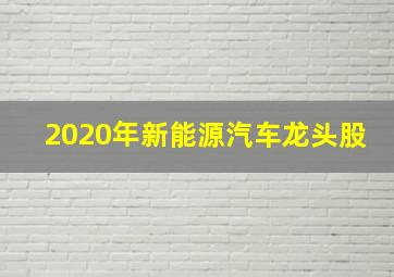 2020年新能源汽车龙头股