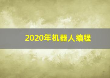 2020年机器人编程