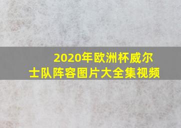 2020年欧洲杯威尔士队阵容图片大全集视频