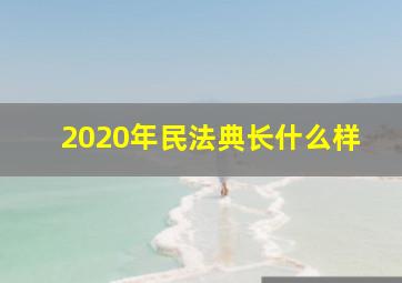 2020年民法典长什么样