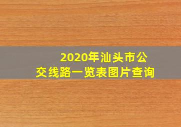 2020年汕头市公交线路一览表图片查询