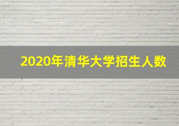 2020年清华大学招生人数