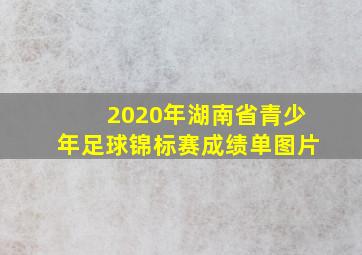 2020年湖南省青少年足球锦标赛成绩单图片