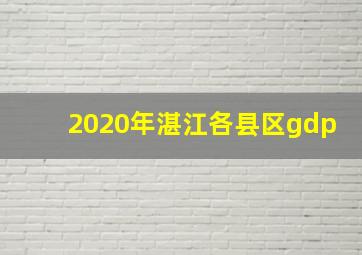 2020年湛江各县区gdp