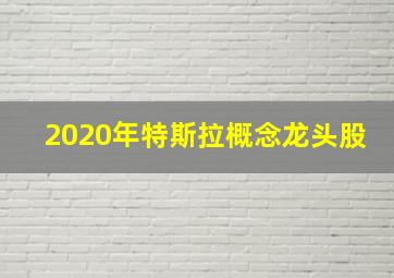 2020年特斯拉概念龙头股