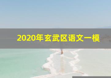 2020年玄武区语文一模