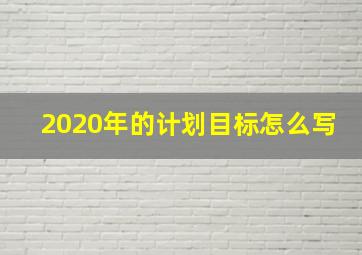 2020年的计划目标怎么写