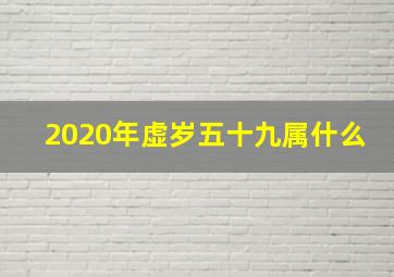 2020年虚岁五十九属什么