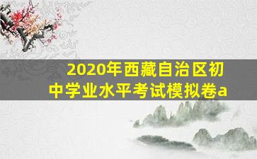 2020年西藏自治区初中学业水平考试模拟卷a