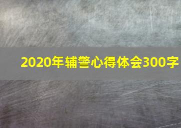 2020年辅警心得体会300字