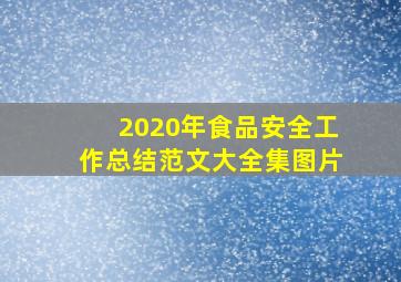 2020年食品安全工作总结范文大全集图片