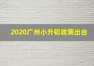 2020广州小升初政策出台