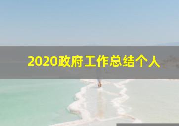 2020政府工作总结个人