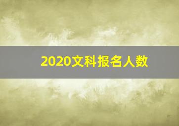 2020文科报名人数