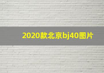 2020款北京bj40图片