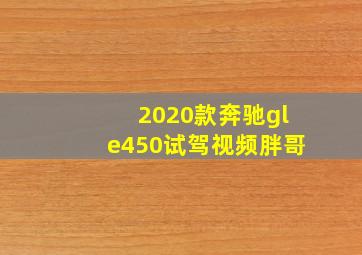 2020款奔驰gle450试驾视频胖哥