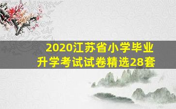 2020江苏省小学毕业升学考试试卷精选28套