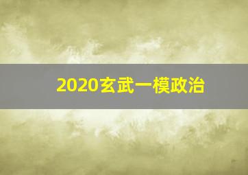 2020玄武一模政治