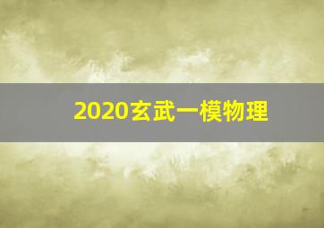 2020玄武一模物理