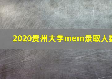 2020贵州大学mem录取人数